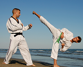 Supreme martial arts